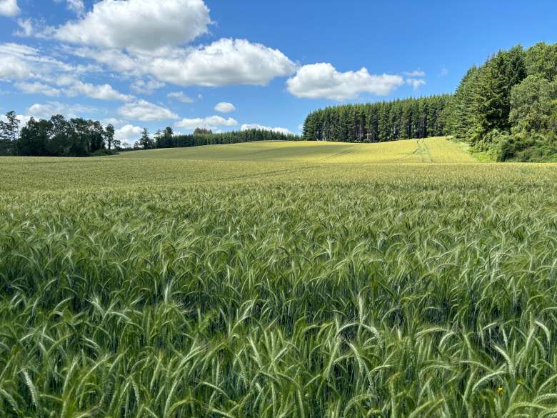 Bildbeschreibung