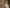 Inken Emde - Chefin im Hofladen WLV Bild