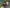 WLV Bild WLV Bildgalerie Vorschaubild