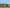 Erntebilanz zu Erntedank: Besonders stark gelitten hat in diesem Jahr vielerorts der Mais. Die Spannbreite ist hier besonders groß: von Maispflanzen ganz ohne Kolben bis hin zu guten Beständen reicht das Bild.