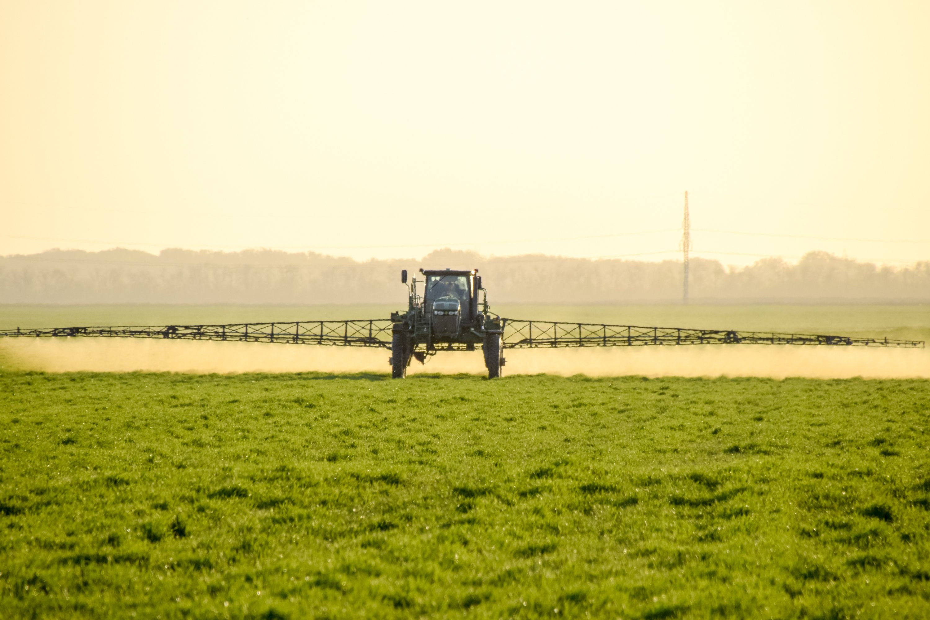 LaufzeitVerlängerung für GlyphosatEinsatz EUEntscheidung geht in