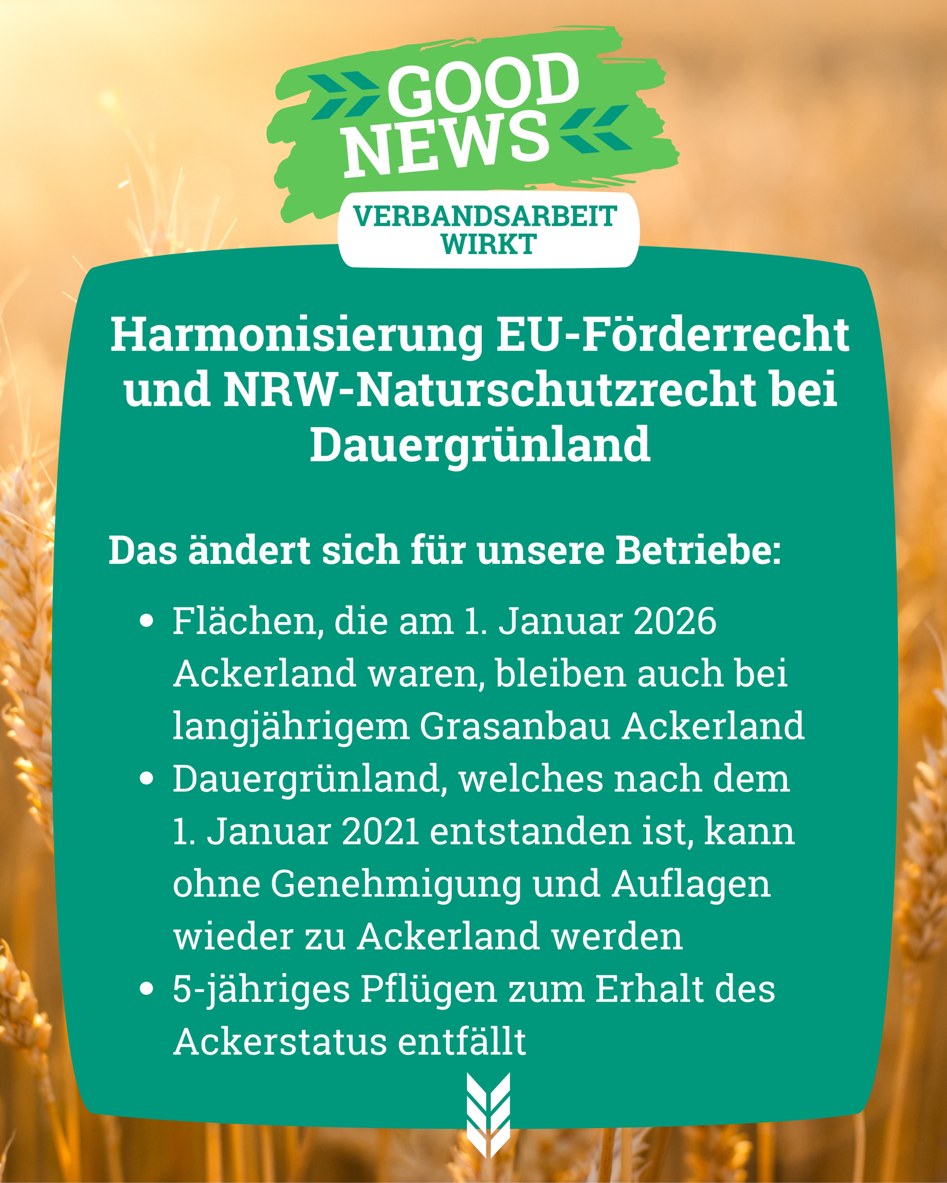 In der vergangenen Woche hat der NRW-Landtag mit den Stimmen von CDU und Grünen Änderungen am Landes